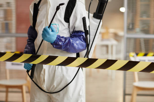Professional Sewage Cleanup technician working in Bridgewater, NJ